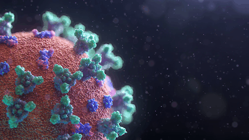 Coronavirus close-up